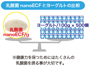 乳酸菌nanoECFとヨーグルトの比較